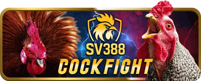 Trò chơi nổ hũ VN8DAY